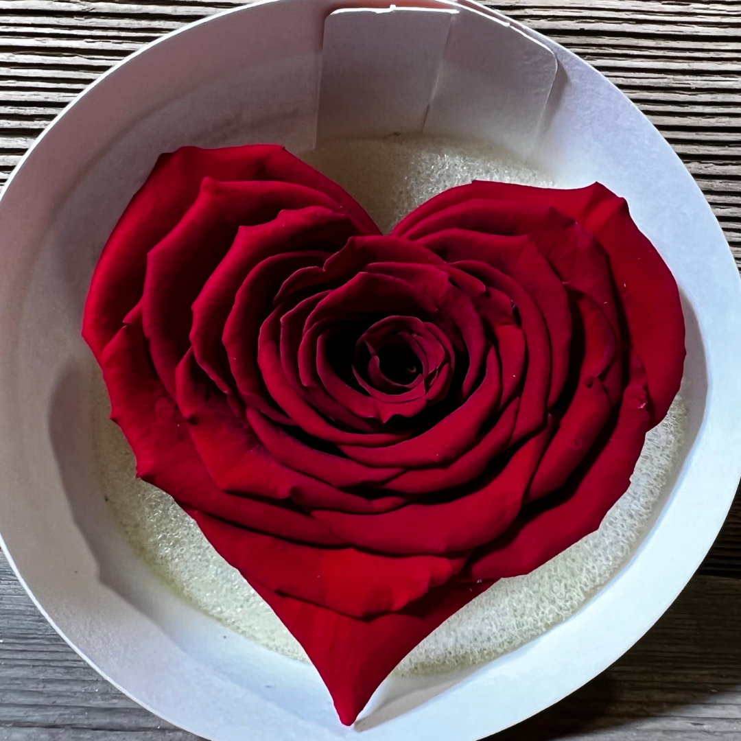 Stabilisierte Rosen Blüte in Herzform