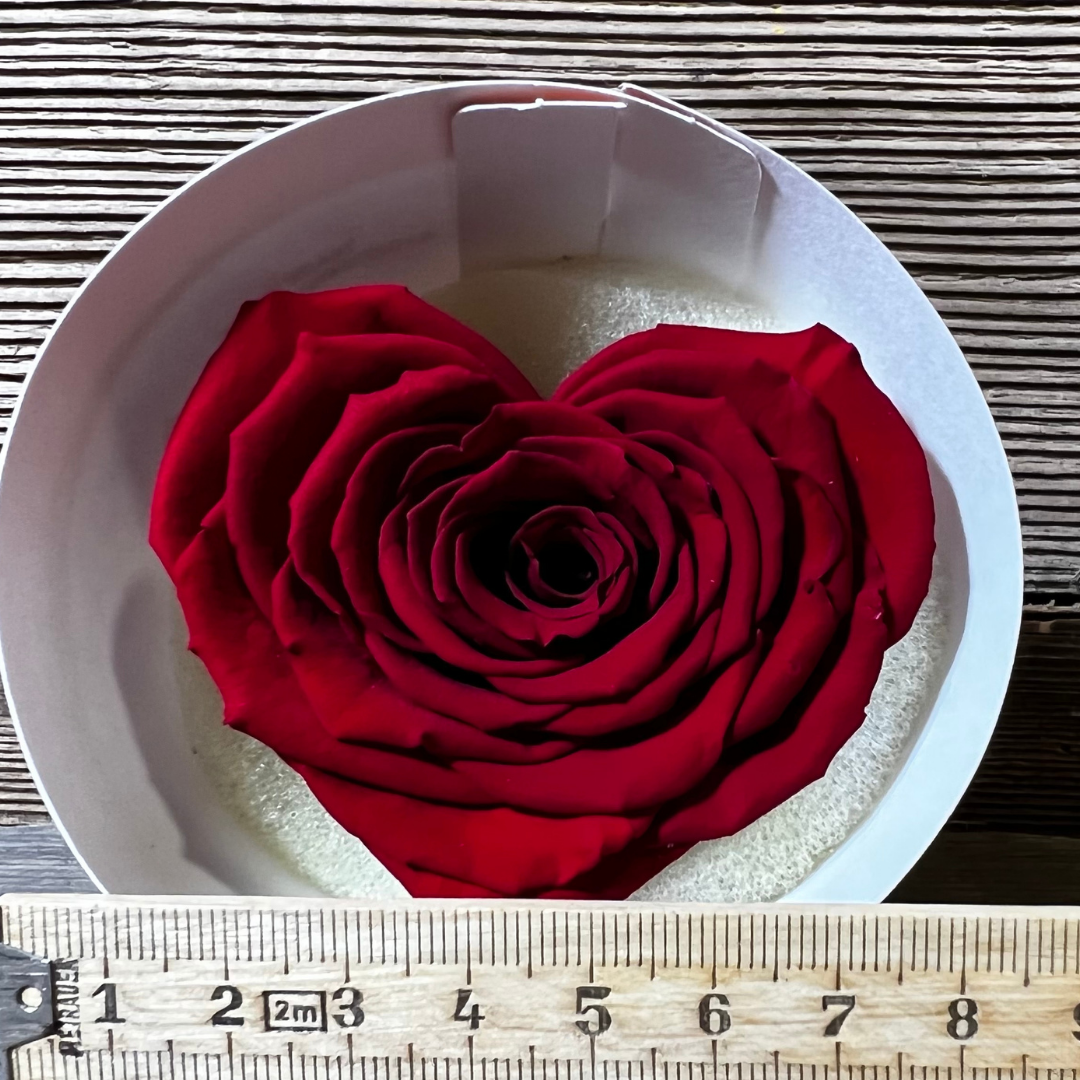Stabilisierte Rosen Blüte in Herzform